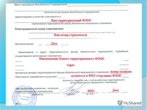 Регистрация ИП и ООО в Пенсионном фонде РФ