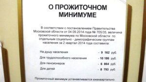 Прожиточный минимум в Московской области
