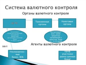Что представляет собой валютный контроль в РФ