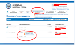 Как вернуть переплату налогов из ФНС
