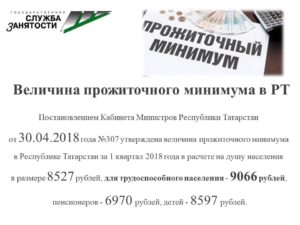 Прожиточный минимум в Республике Татарстан