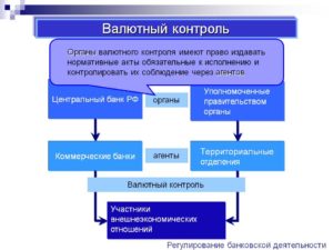 Импортный валютный контроль. Процесс валютного контроля. Этапы валютного контроля. Схема валютного контрол. Банк России осуществляет и валютный контроль.