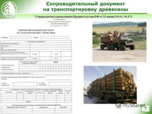 Сопроводительный документ на транспортировку древесины