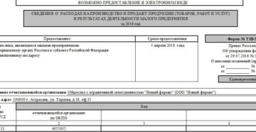 Сведения о расходах и деятельности малого предприятия по форме ТЗВ-МП