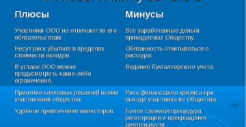 Плюсы и минусы ООО